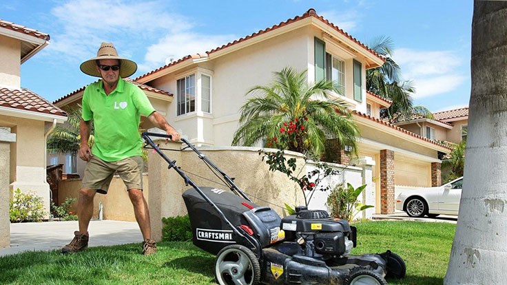 Lawn Love Now Services 100 Cities, Starting A Landscaping Business In Pa