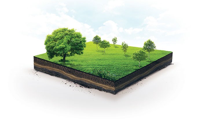 How soil analysis keeps growing conditions ideal