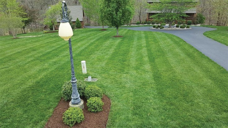 Analyze the needs of customers’ lawns