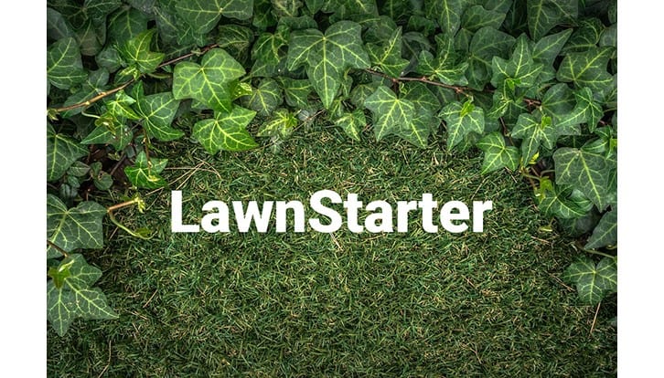LawnStarter adds VP of engineering, additional leaders