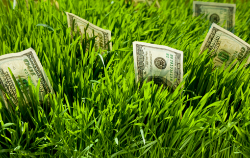 Lawn Landscape, How Much Does It Cost For A Landscaper To Cut Your Grass