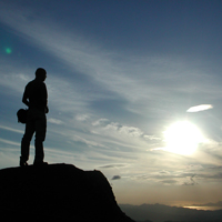 Ignoring the Fork in the Road - Lawn & Landscape