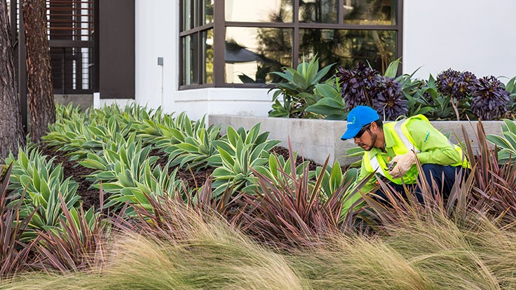 BrightView makes its move Lawn & Landscape