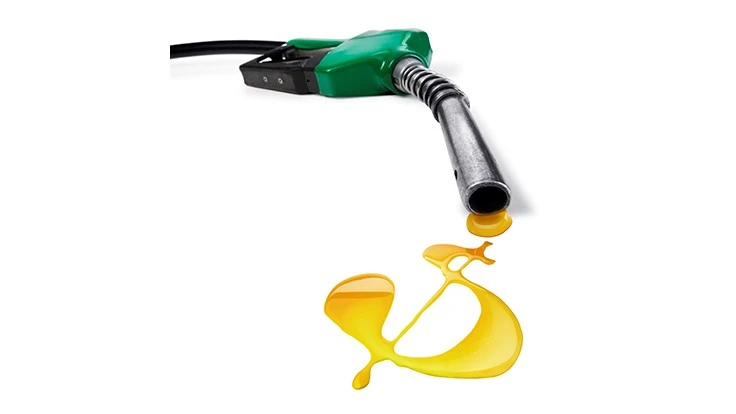 Information from Lawn & Landscape's 2018 State of the Industry Report