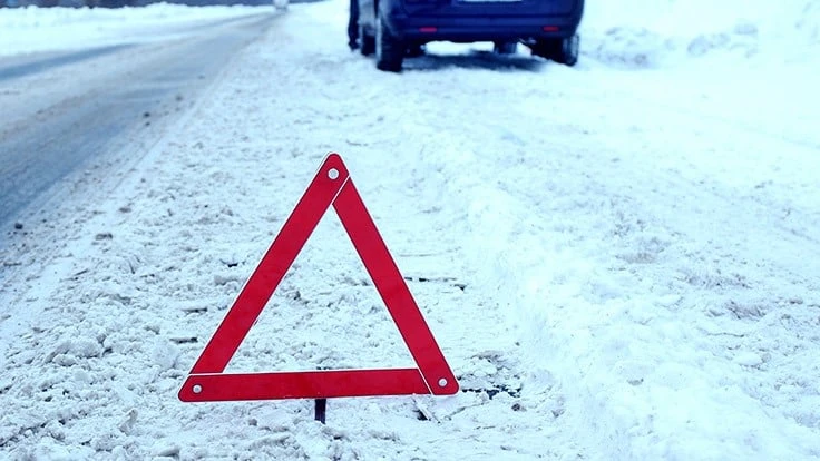 ©Africa Studio - stock.adobe.com