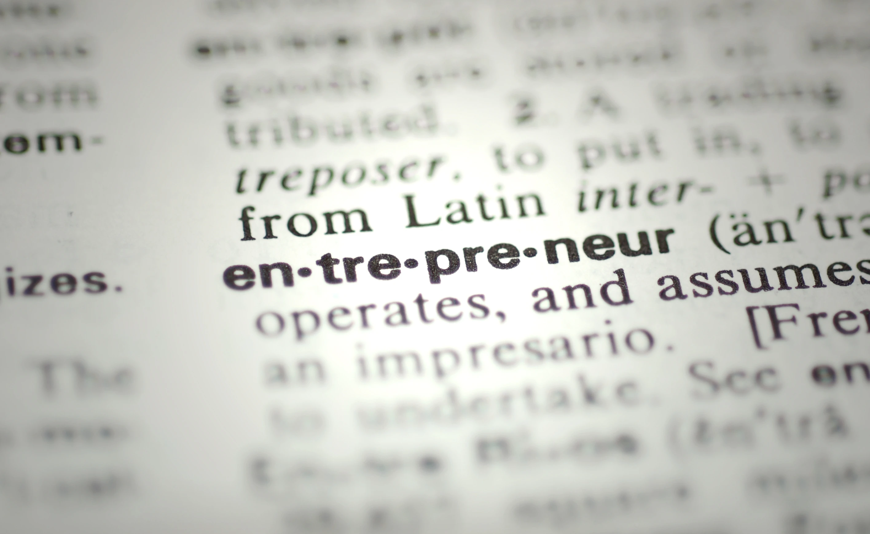 Entrepreneur definition in the dictionary